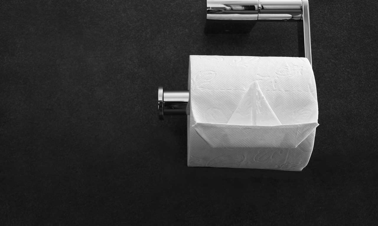 toilet roll image